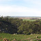 from Peters Hill