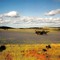 Australia;Hills round Kapunda;Springtime