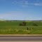 Open fields, Yellow fields are Canola
