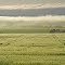 Morning Fog, Bagot Well, 18 September 2011