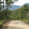 road from cox's river to Katoomba