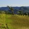 Farmland in the Megalong Valley