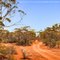 Kambalda - Western Australia - Steven Sandner
