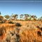 Kambalda - Western Australia - Steven Sandner