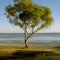 Streaky Bay