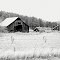 Barns