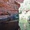Kings Canyon