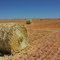 Hay Bales