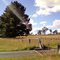 Gostwyck , windbreak at cattle grid ...