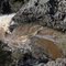 About to drop 120 metres over Dangars Falls