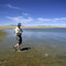 fly fishing for carp