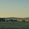 Lake Keepit Final Glide