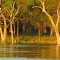 Lake Keepit, eastern shore at sunset.