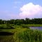 Carriage Hill
