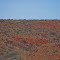 Red hills of Kokatha