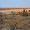 Lake Everhart ** near Kingunya  SA