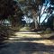 Adam Road