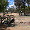 Kojonup