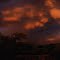 Sunshine after the Storm