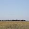 Big sky & brolgas