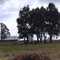 Kyneton Airfield