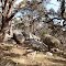 Granite Boulders along Ridge Walking Track