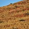 Inside the Gawler Ranges