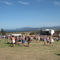 Main stage at Falls Festival 2007