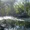 Billabong at Adel's Grove, Lawn Hill, Far North Queensland, Australia