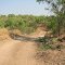 road to Coriander