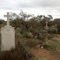 Lawson Cemetary