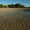 Tide out while mud crabbing on the King Sound side of Dampier Peninsula down from Cape Leveque
