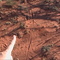 Kangaroo tail print