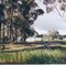 Lake Bolac Rest Area, Glenelg Hwy