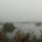 A Misty Morning