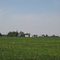 Near Middle Point, Ohio