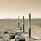 Flinders Island.