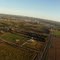 Leeton Aerial 1