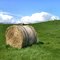 Hay bales, Korumburra