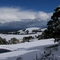 Snow in Korumburra