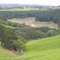 Lacey's lookout