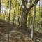 East Fork MTB