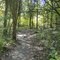 East Fork MTB