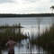Lake Evella