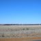 Just North of Lake Grace