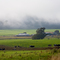 evandale dairy