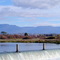 Weir 2 Cressy with Great Western Tiers in background ......      130