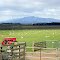 Great Western Tiers as seen from Brickendon