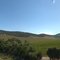 Bertoli Wines, Yarra Valley