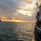 Der unvergessliche Segeltrip um und zu den Whitsunday Islands... ihr hättet dabei sein sollen :-)
